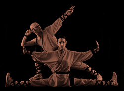 progettiSHAOLINweb.jpg